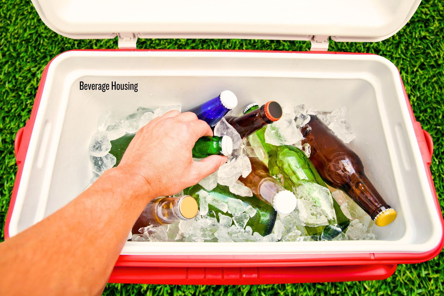 cooler houses beverages for entertaining