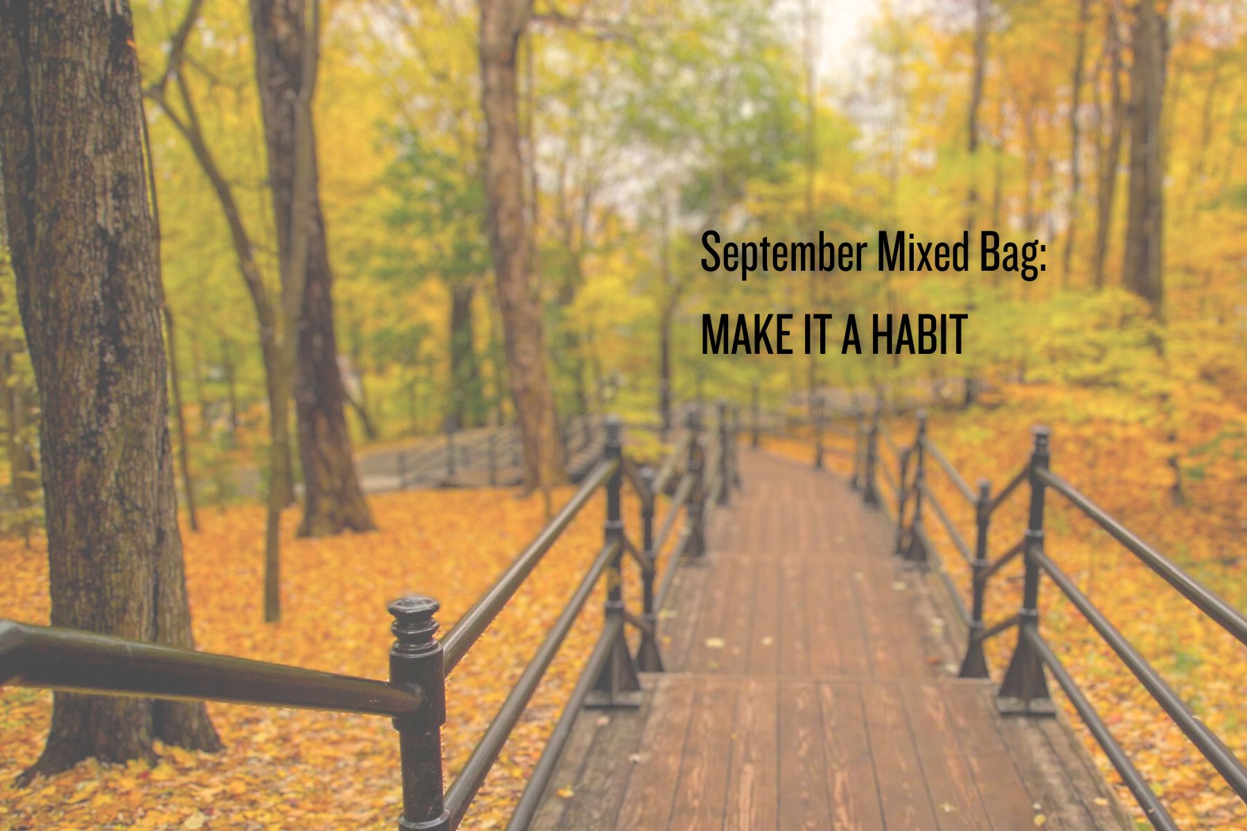 September Mixed Bag: Make It A Habit