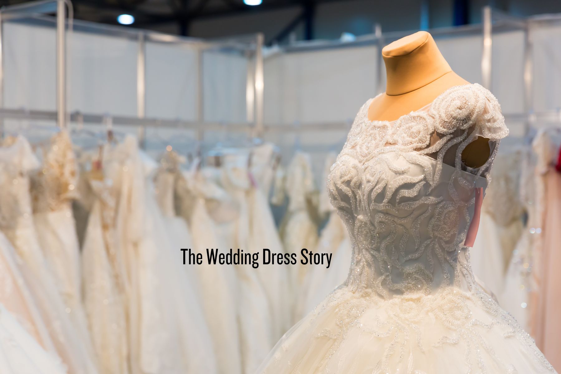 The Wedding Dress Story